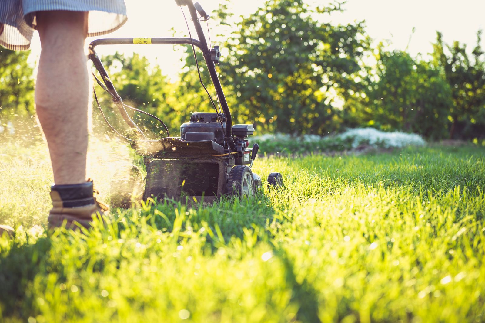 Lawn Care service in Halfmoon, NY